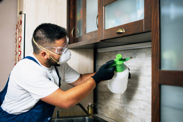 Best Affordable Pest Control Services  in Weston Mills, NY