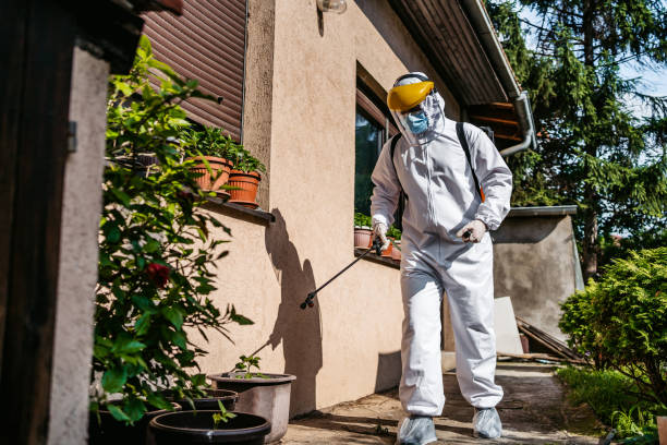 Flea Control Services in Weston Mills, NY