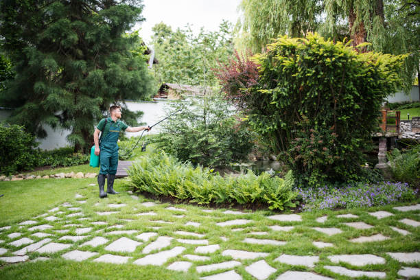 Best Best Pest Control Companies  in Weston Mills, NY