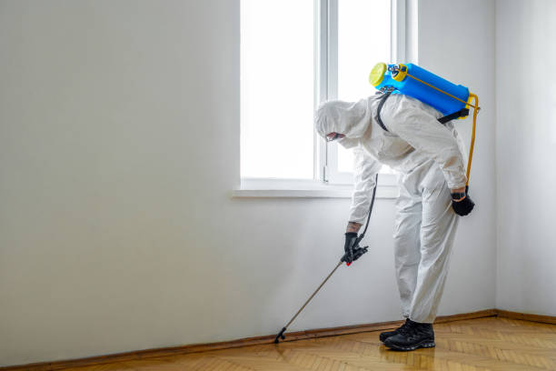 Best Pest Control Treatment  in Weston Mills, NY
