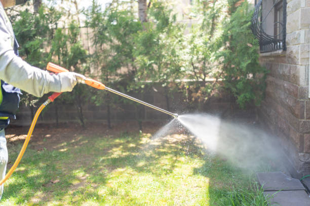 Best Spider Control Near Me  in Weston Mills, NY