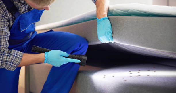 Best Pest Control Treatment  in Weston Mills, NY