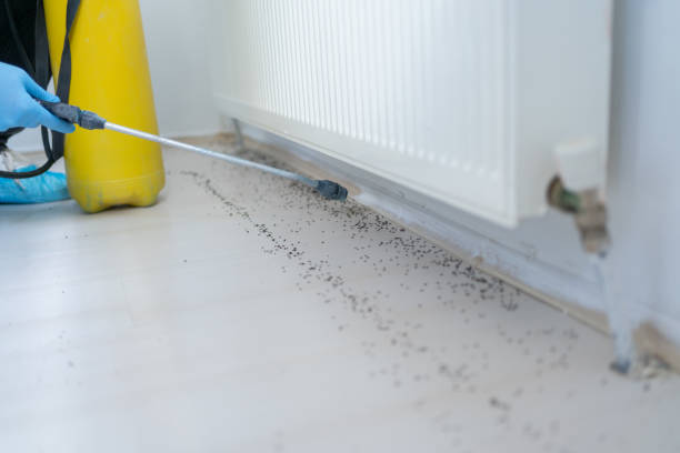 Weston Mills, NY Pest Control Company